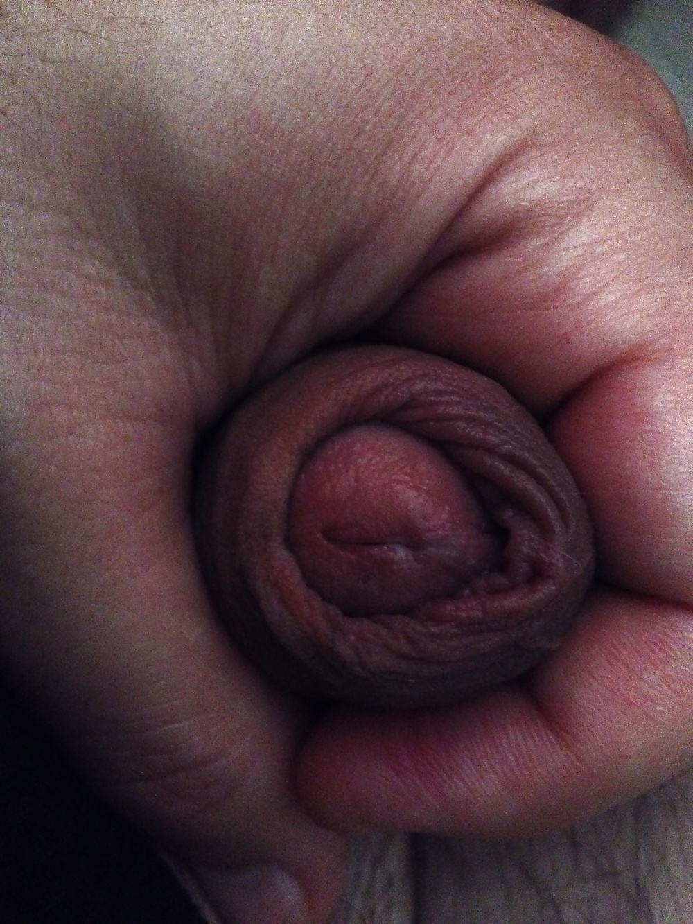 Nuevas fotos 3
 #32361953