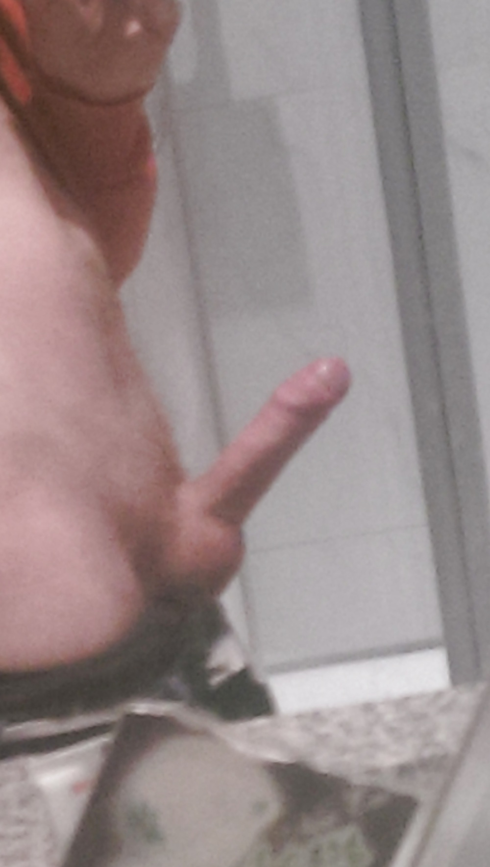 シュヴァンツ
 #38952291