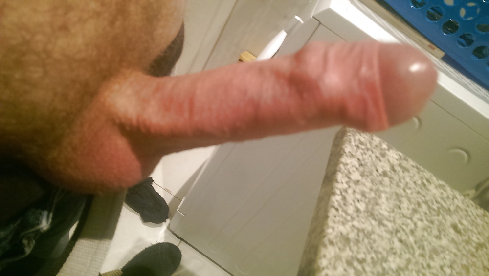 シュヴァンツ
 #38952304