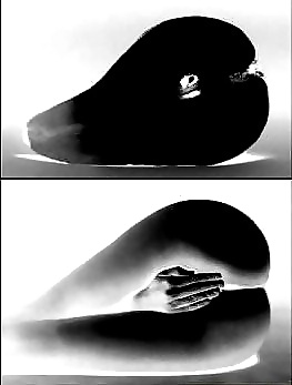 044
 #34782753