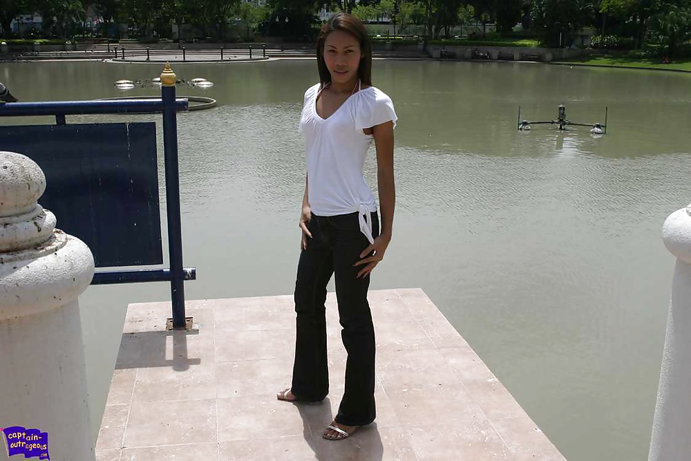 Capitán escandaloso
 #29637279