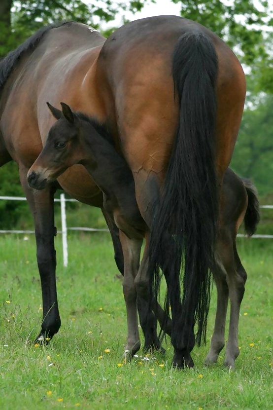 Salvaje en mi cabeza....
 #29636384