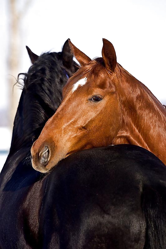 Salvaje en mi cabeza....
 #29636419