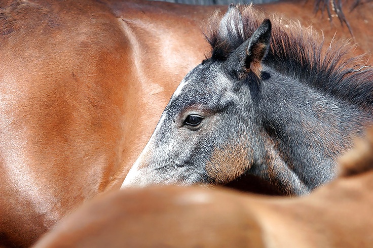 Salvaje en mi cabeza....
 #29636435