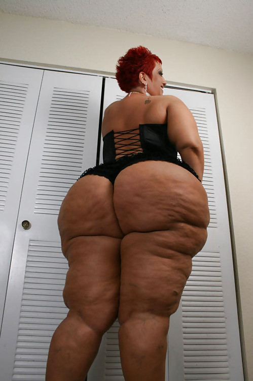 BBW & SSBBW Asses Collection #17 #37662277