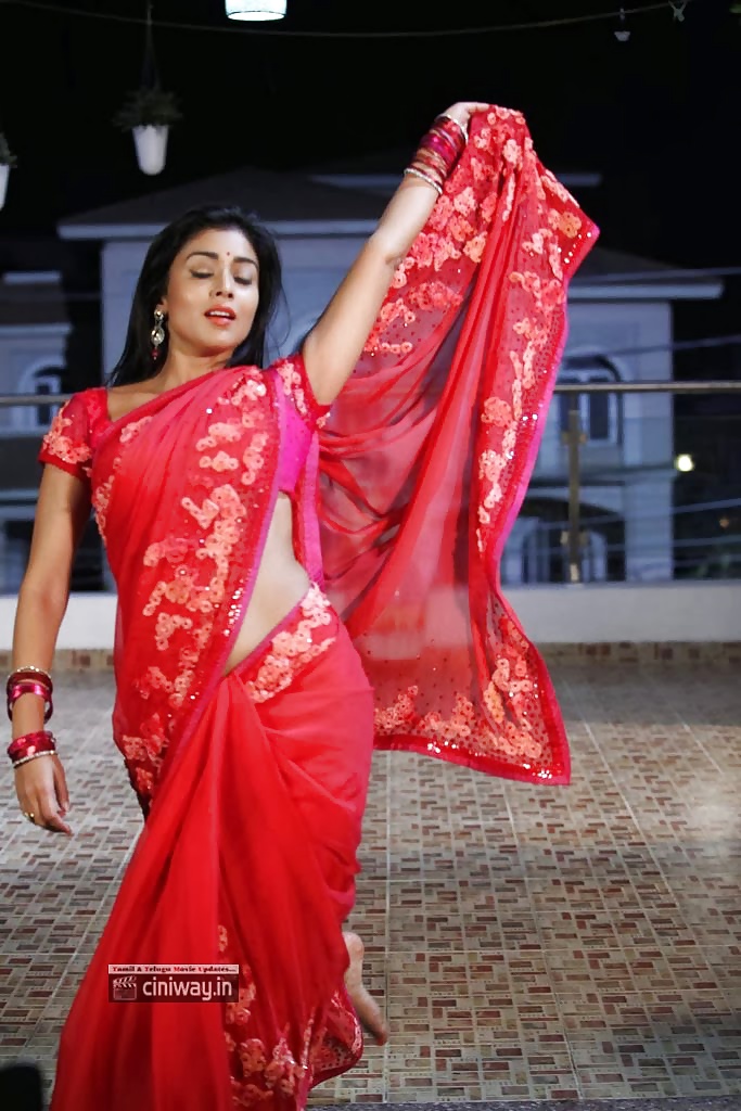 Shriya in red saree #32562988