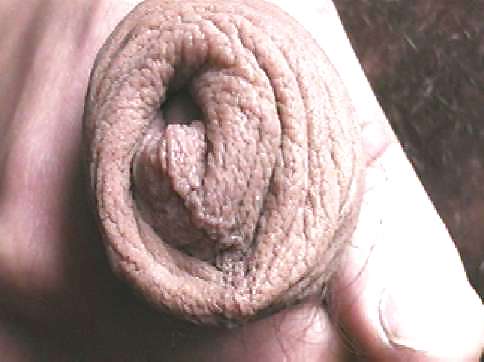 Neues vom wixxer
 #35943658