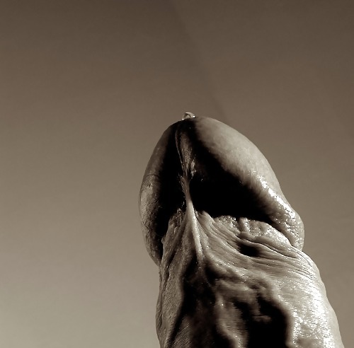 ポルノ
 #36763532