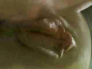 Toes tetas labios nips
 #26822640
