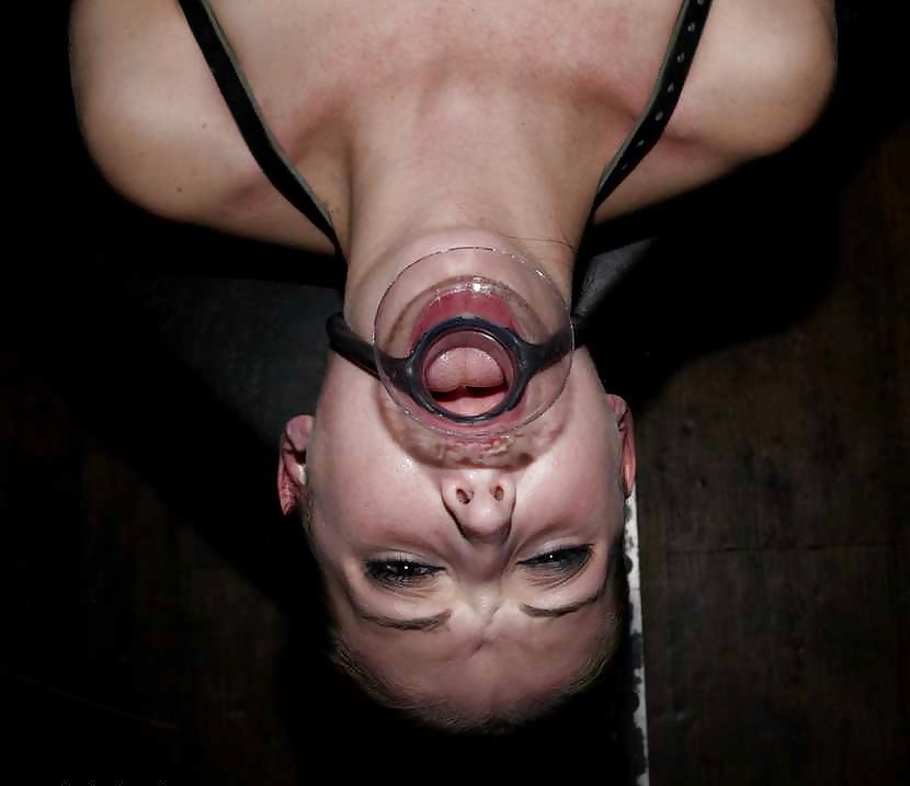 Hailey Young Bdsm Mix #25017395
