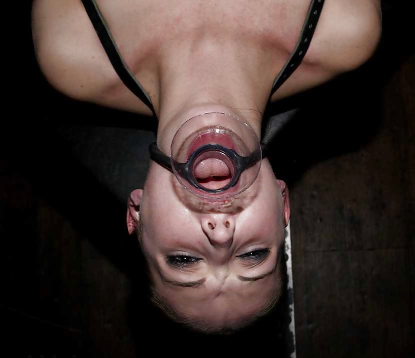 Hailey Young bdsm mix #25017395