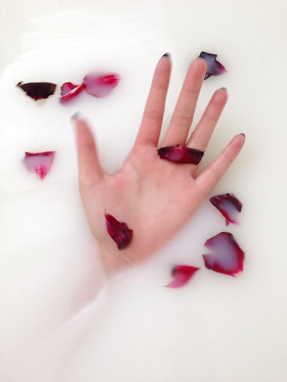 Anatomía de la chica 2
 #38705089