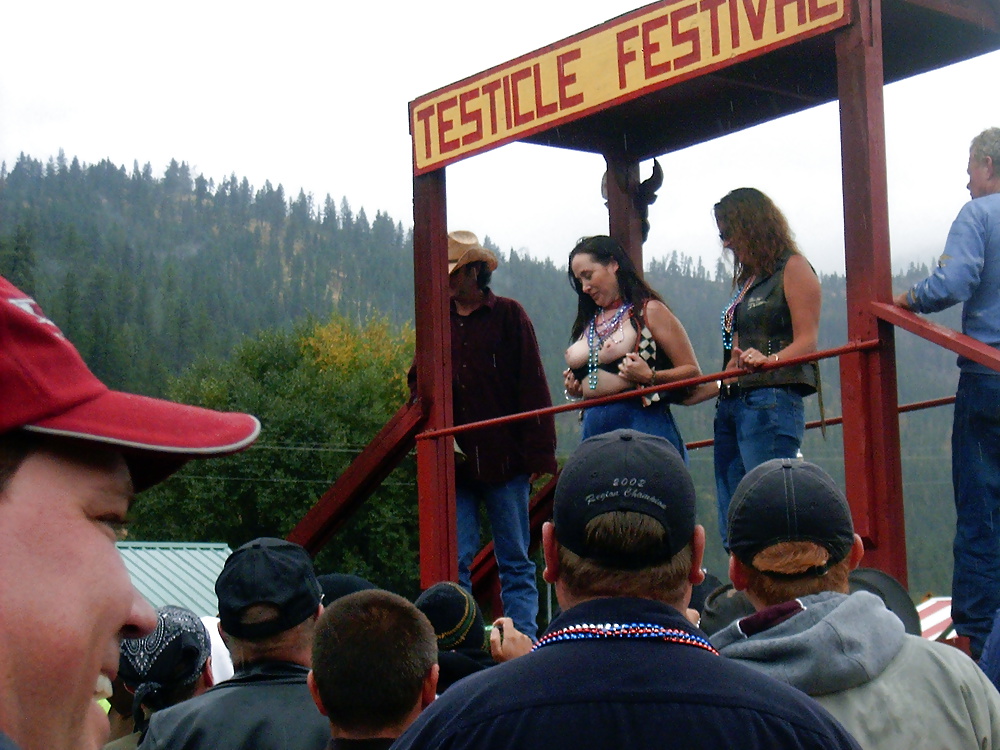 Testy Fest 2005 #40527579