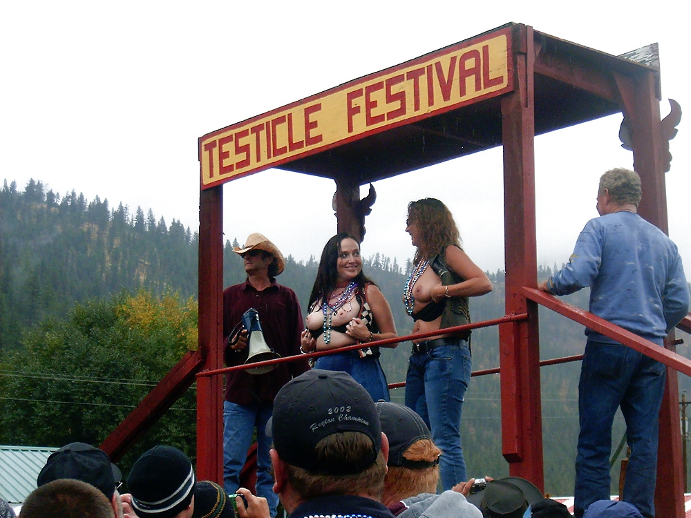 Testy Fest 2005 #40527588