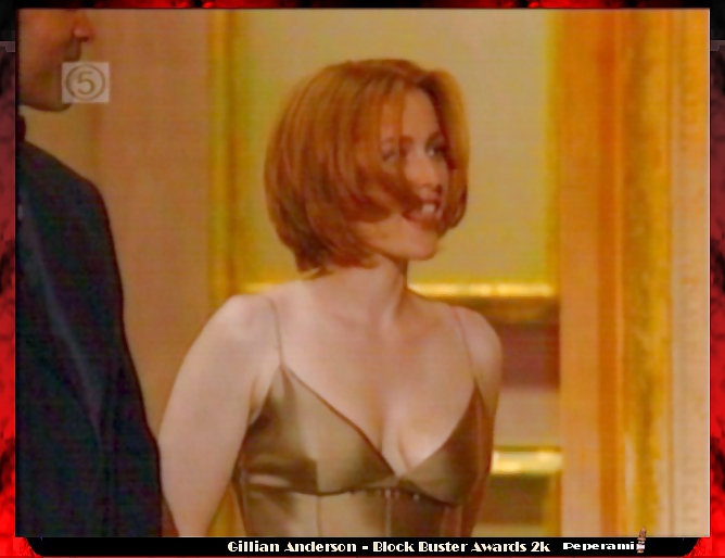 Gillian Anderson #26024600