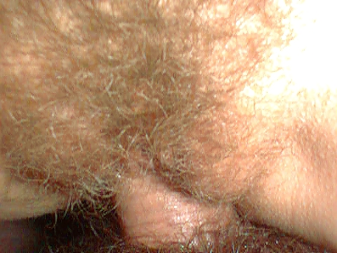 Spielend #37309573