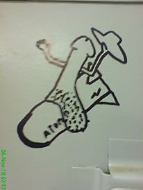 Pollas de comedia
 #24578420