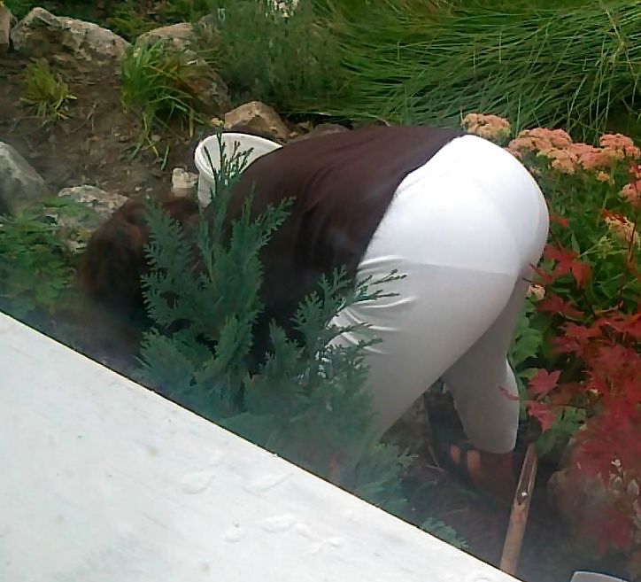 主婦の宿題
 #24429640