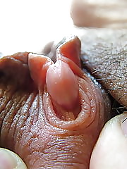 プッシー
 #31901569