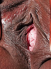 プッシー
 #31901576