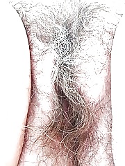 プッシー
 #31901588