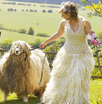 Wedding sheep #27308877