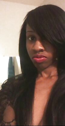 Hoe toya #23319123