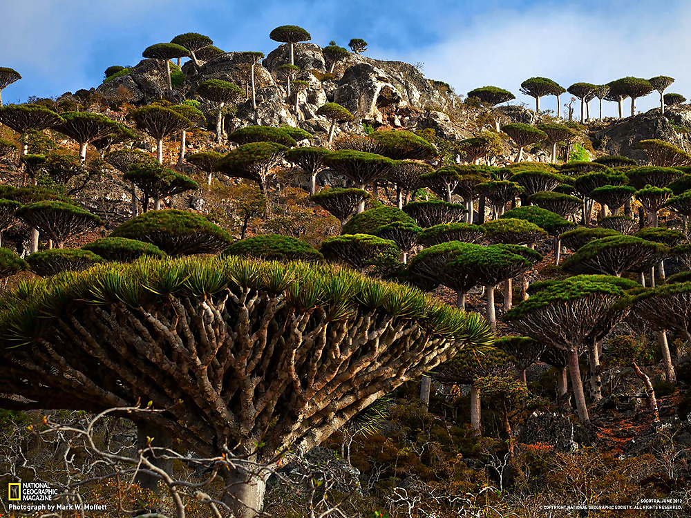 私たちの世界
 #34985126