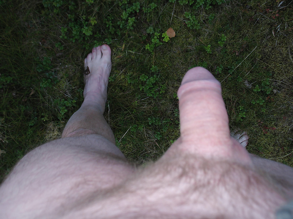 Bylting naked in the wood #34279536