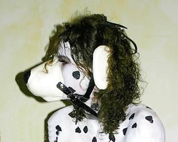 Dalmation Slave #25171015