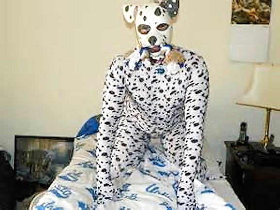 Dalmation Slave #25171025
