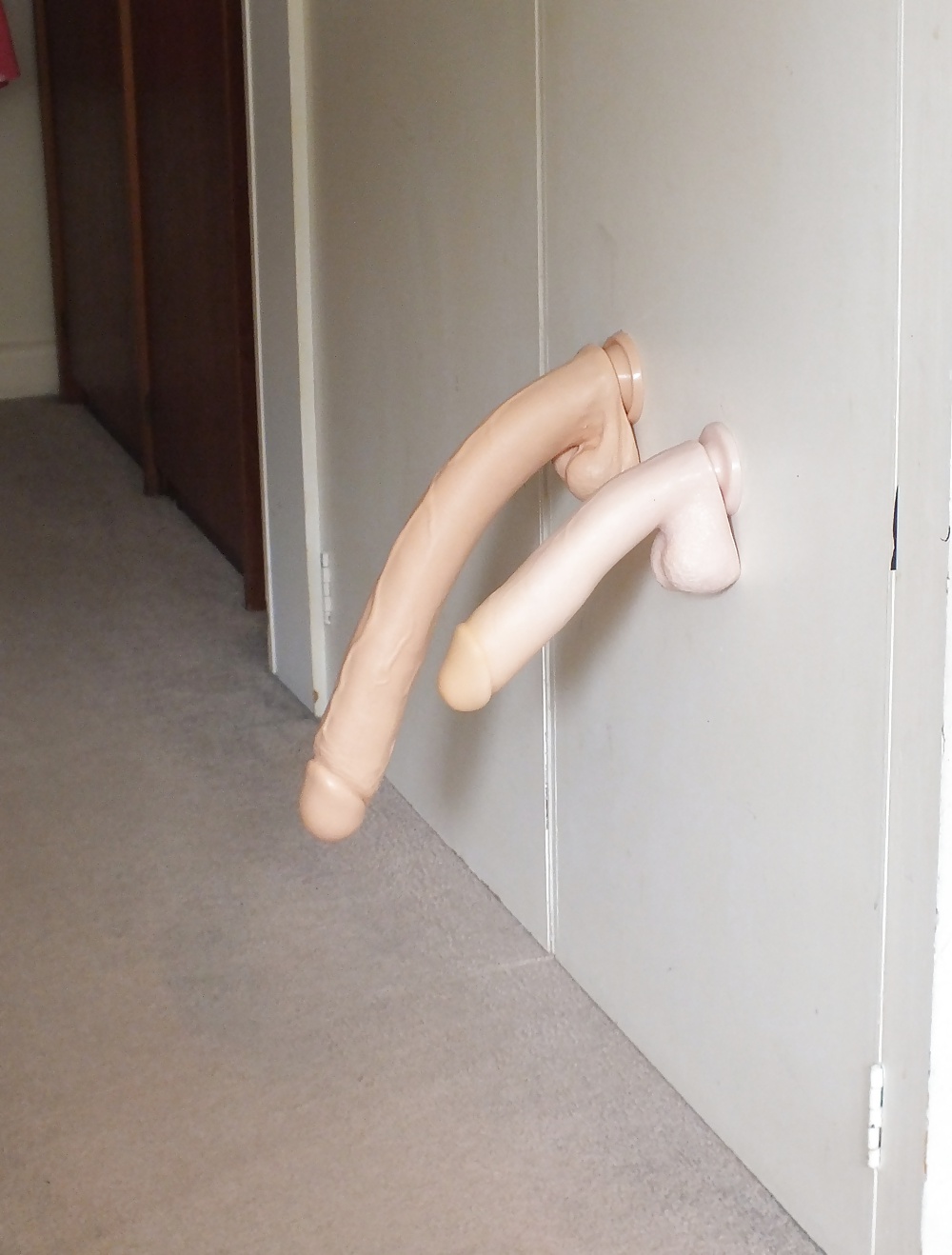 Swalestinatv
 #32607967