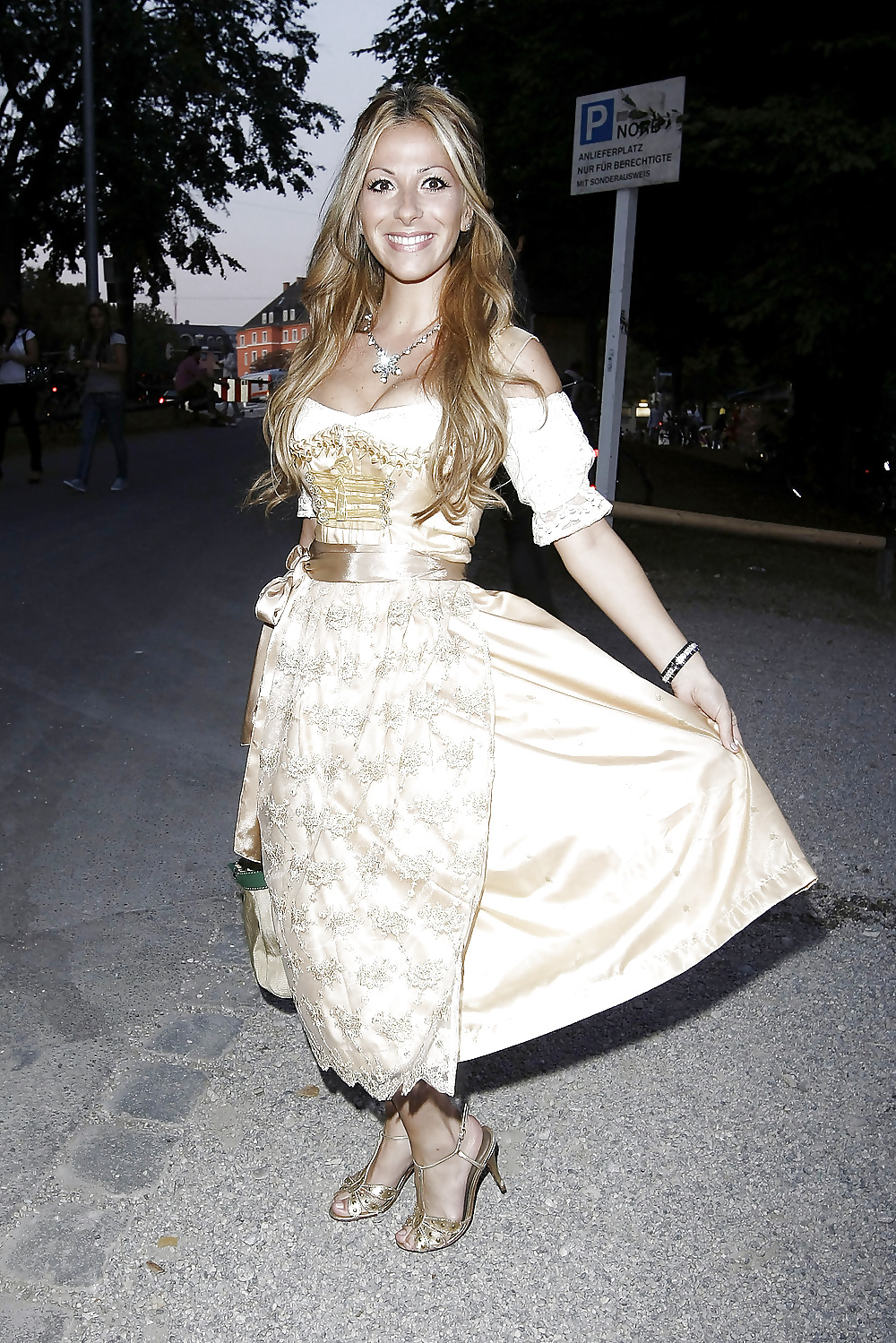 ドイツのスター
 #25969177