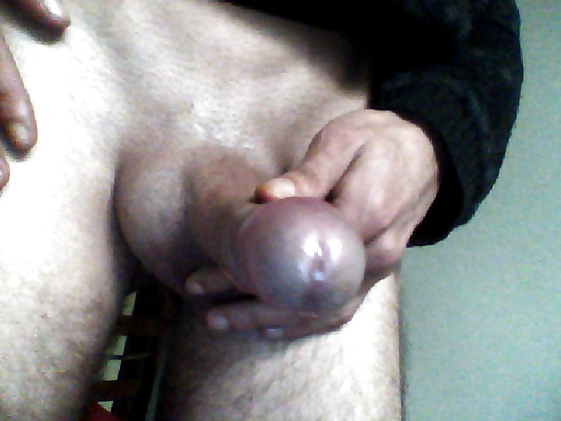 Pauzudo comedor
 #33691995