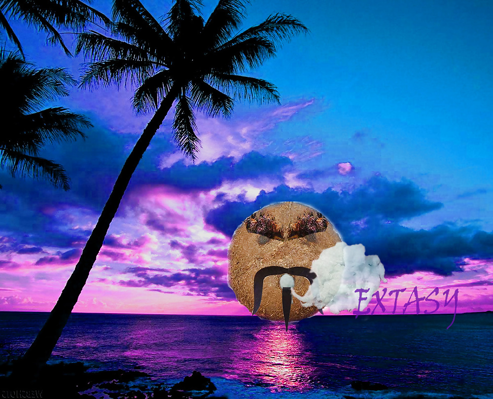 Extasis de coco
 #23482228