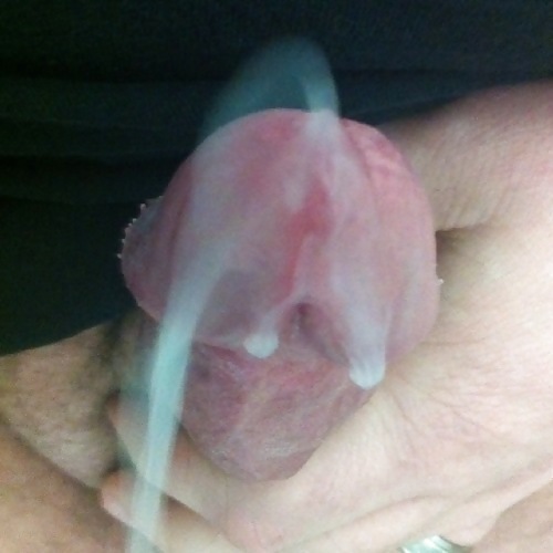 楽しい
 #34934224