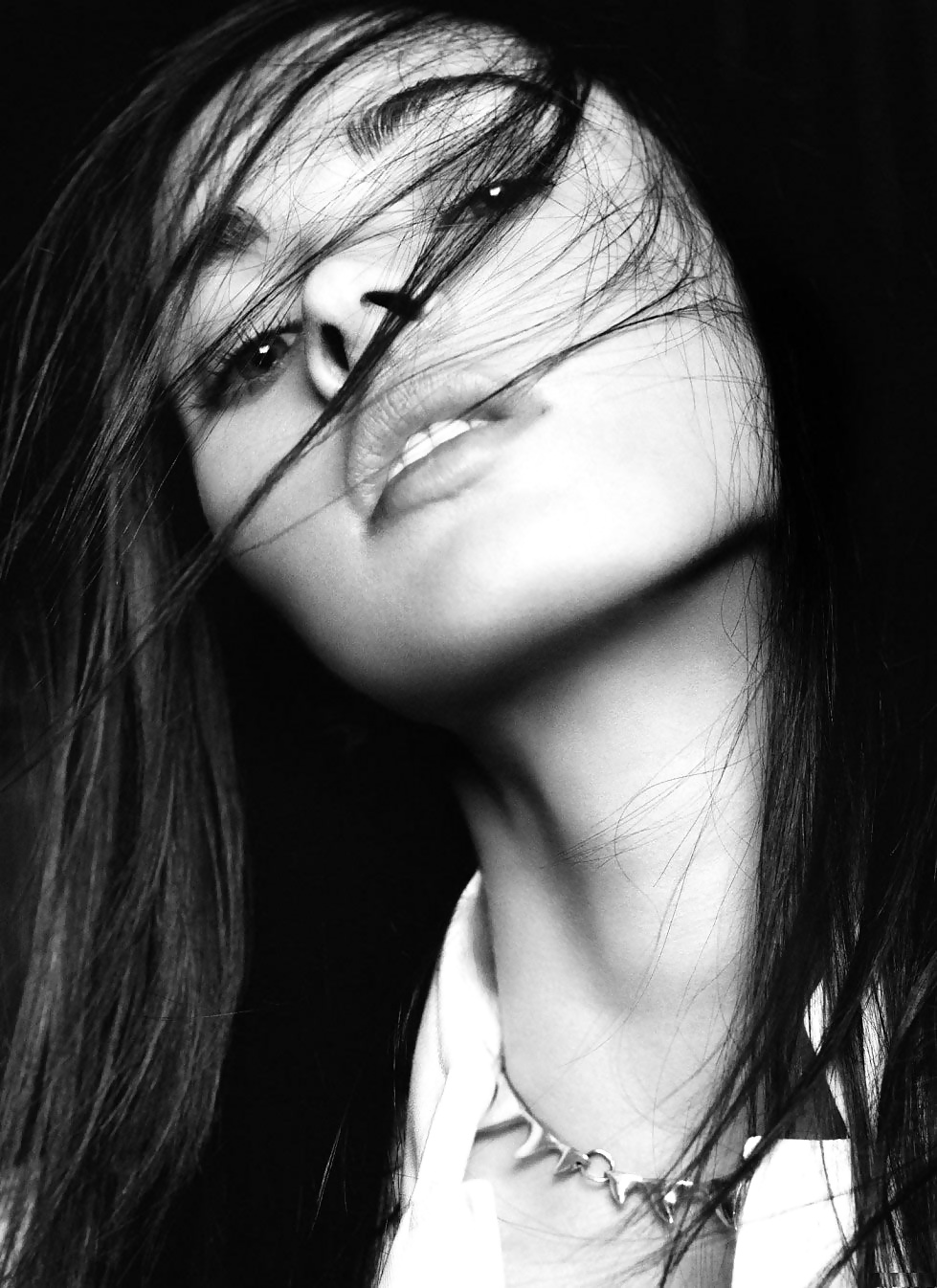 Zorro caliente
 #29121005