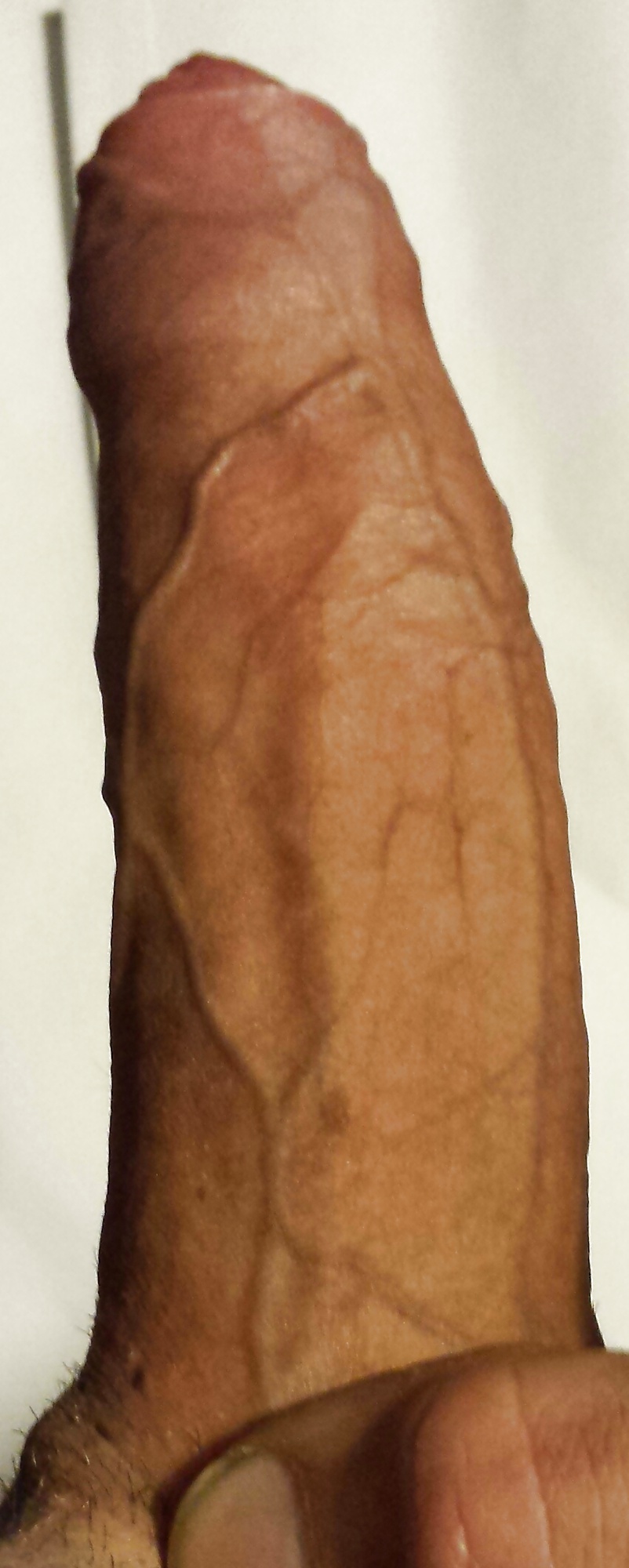 Mi polla venosa
 #40471650