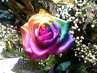 Mi amante
 #35863751