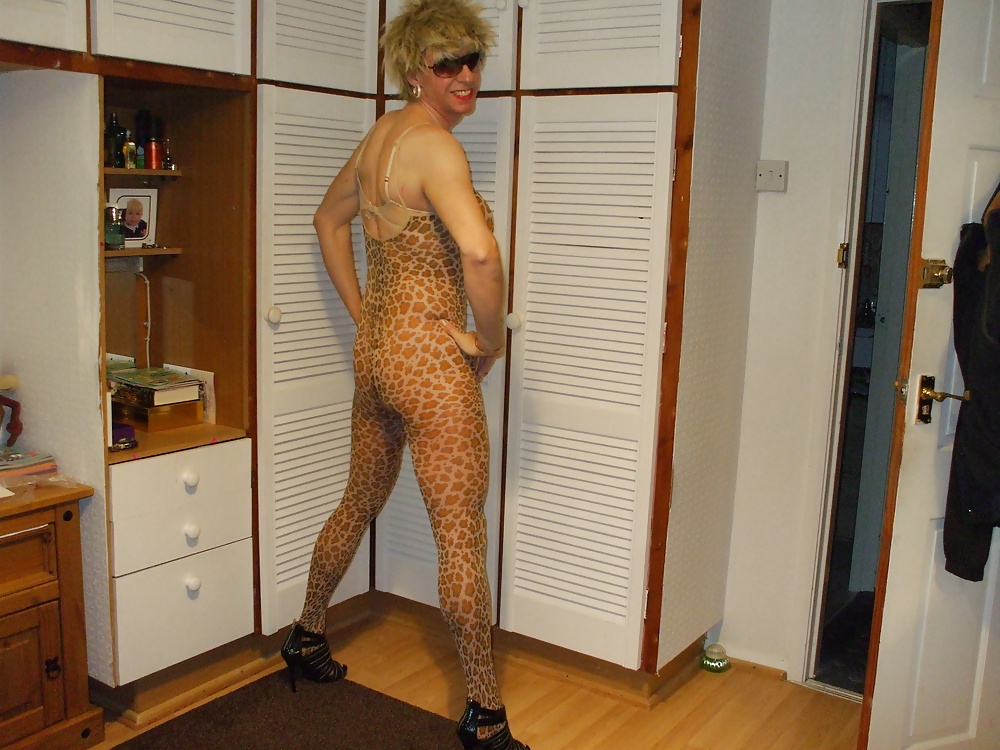 Leopard Body Stocking #27023945