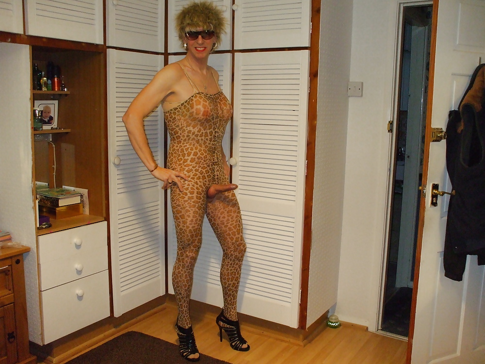 Leopard Body Stocking #27023997