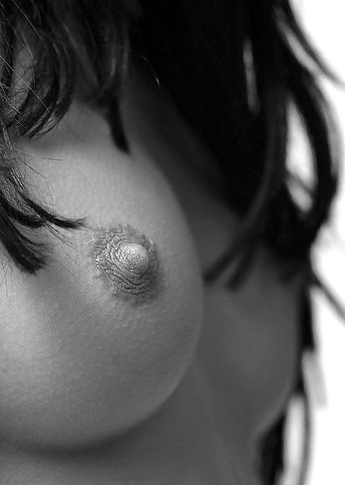 Janas art de la joie 516
 #31452735