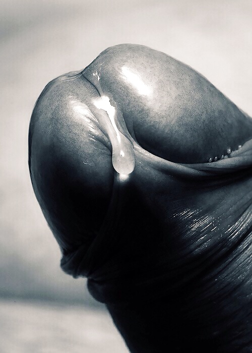 Hahn Für Hahnrei Geliebte # 3 #31751263