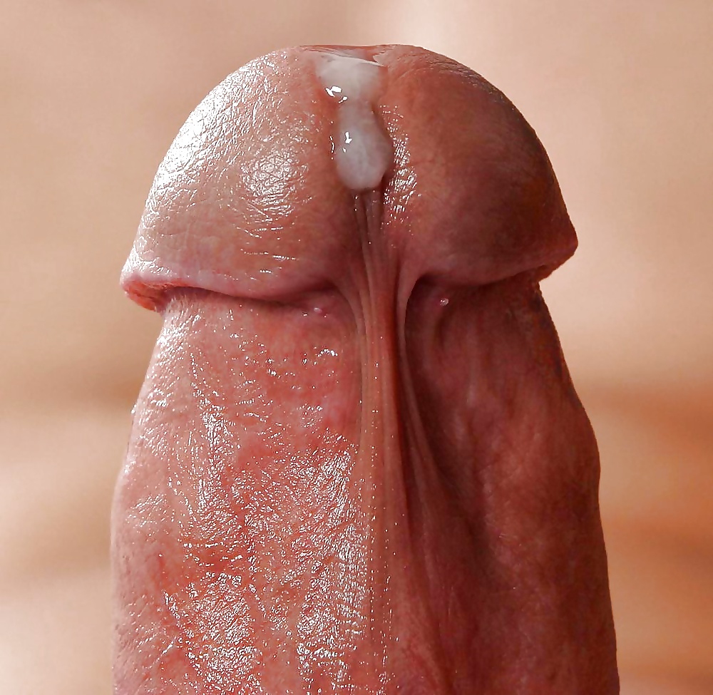 Hahn Für Hahnrei Geliebte # 3 #31751289