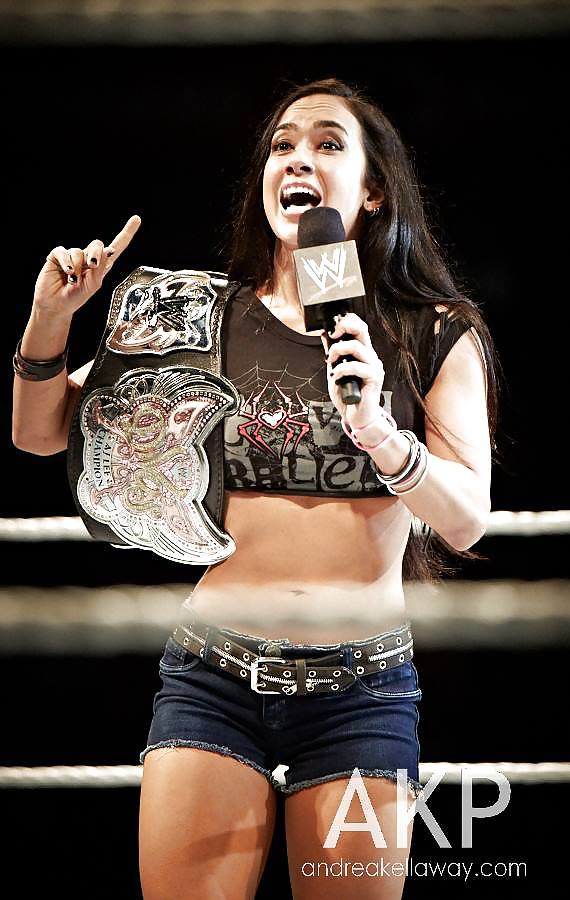 WWE AJ Lee #37488363