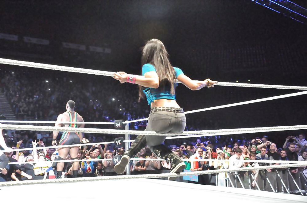 WWE AJ Lee #37488535