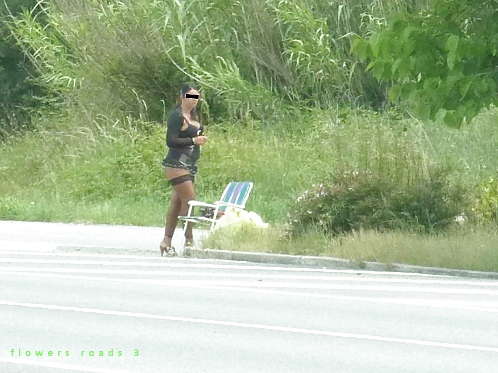 Fleurs De La Route #27767911