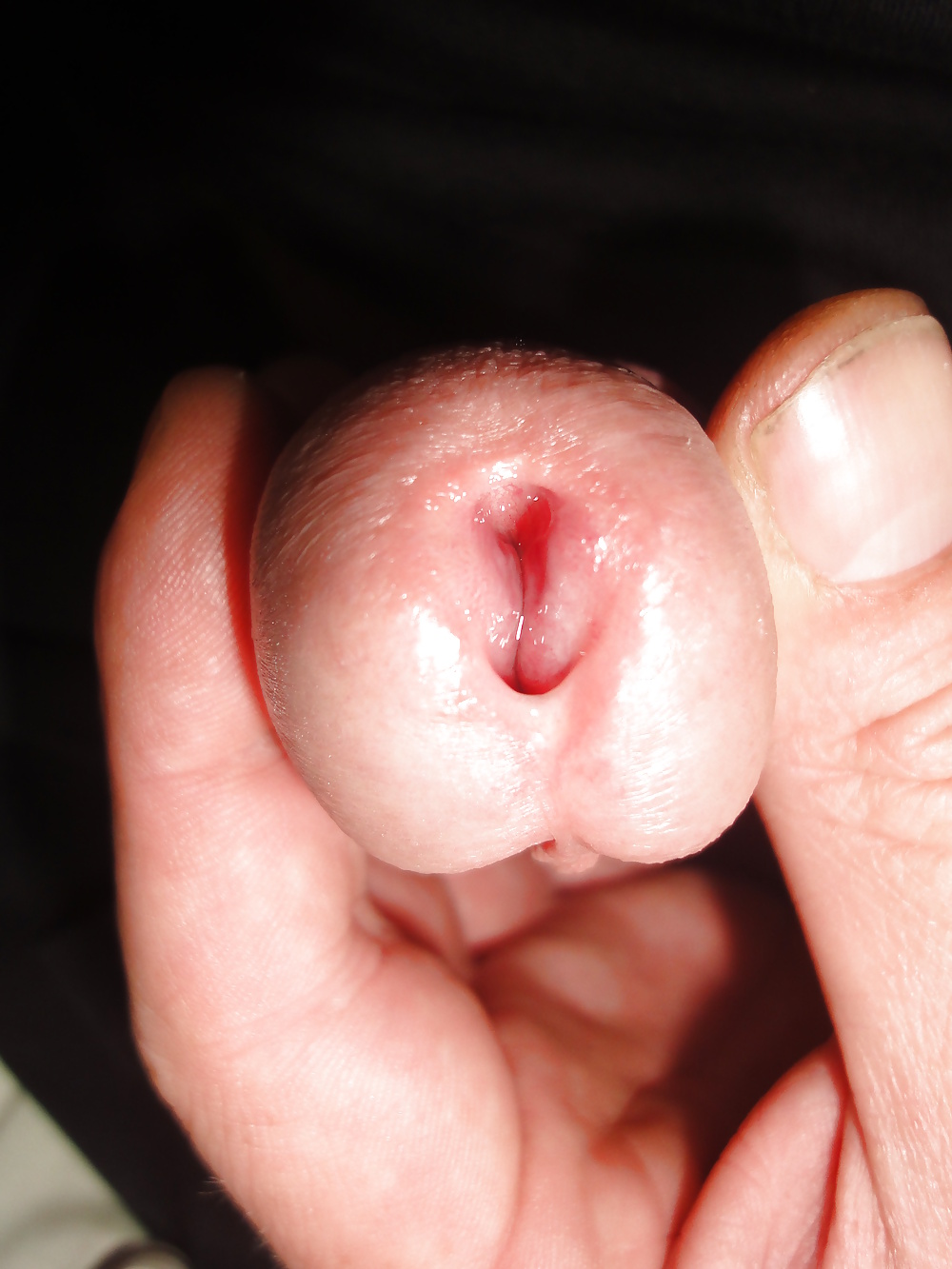 HD closeup of my pierced circumcised penis #23959177