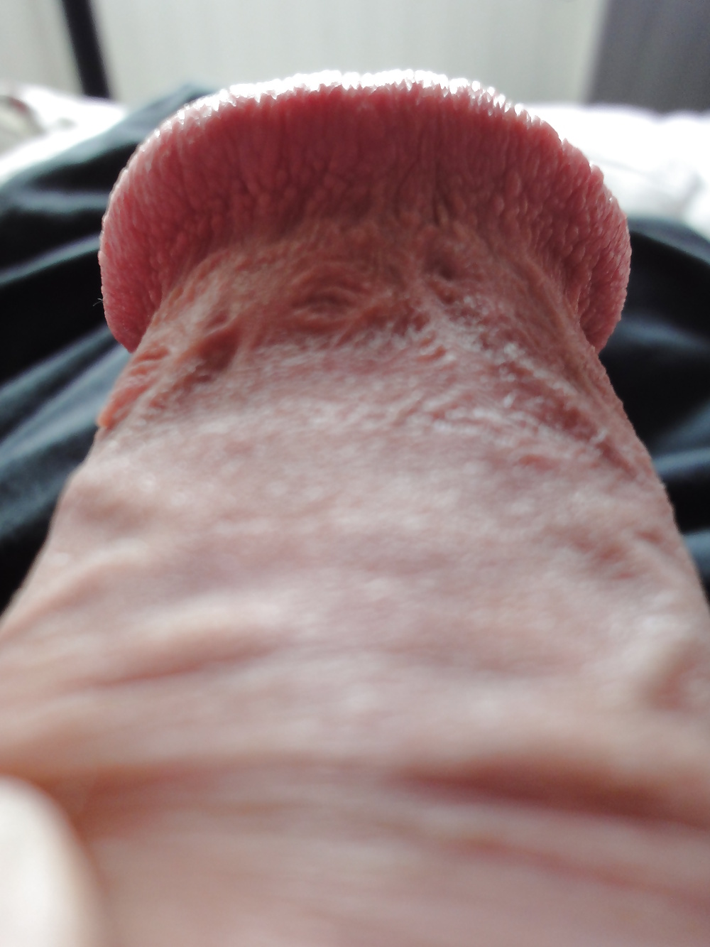 HD closeup of my pierced circumcised penis #23959281