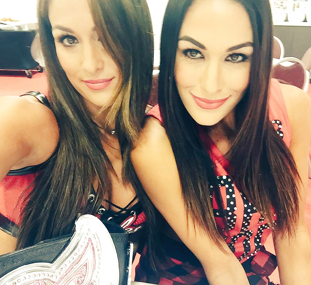 WWE Bella Twins #38053466